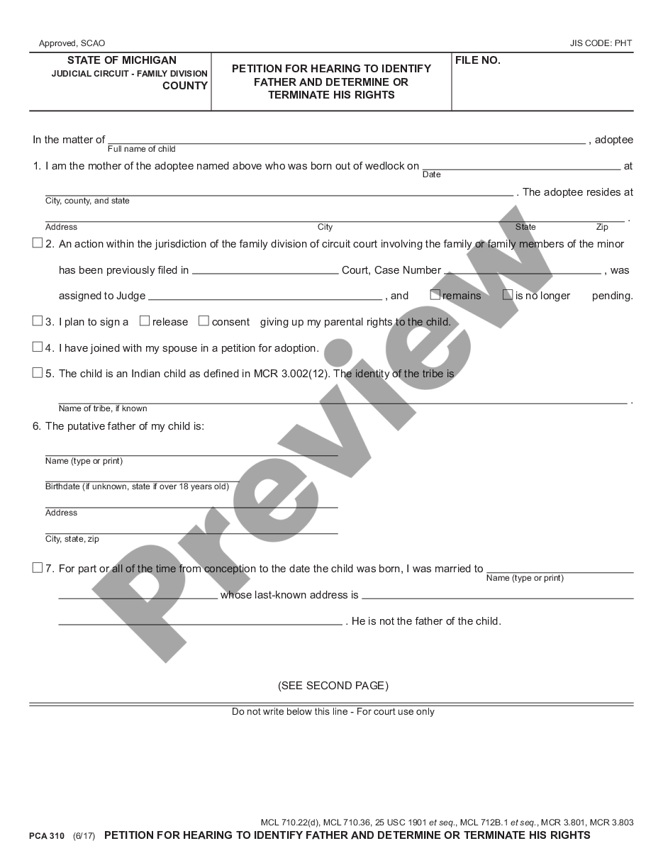 page 0 Petition for Hearing to Identify Father and Determine or Terminate His Rights preview
