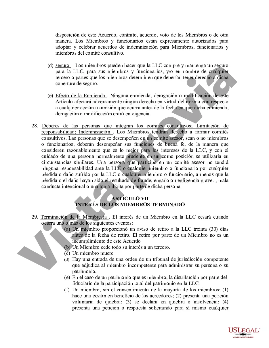 Preview Acuerdo Operativo de Sociedad de Responsabilidad Limitada LLC