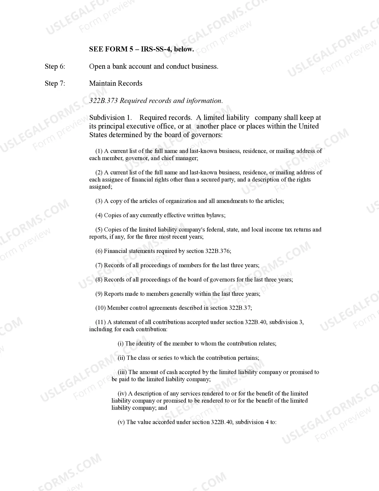 Preview Minnesota Professional Limited Liability Company PLLC Formation Package