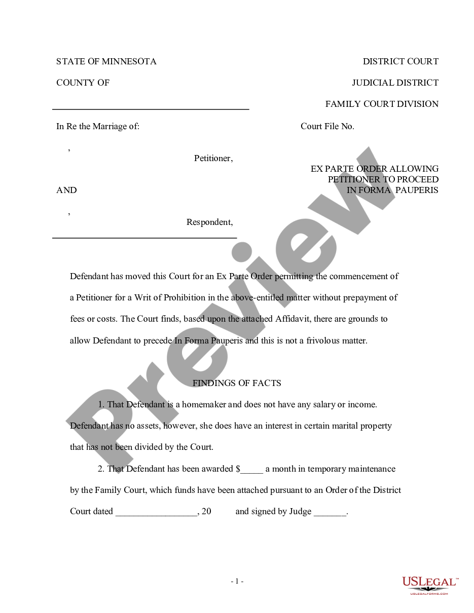 minnesota-ex-parte-order-allowing-petitioner-to-proceed-in-forma