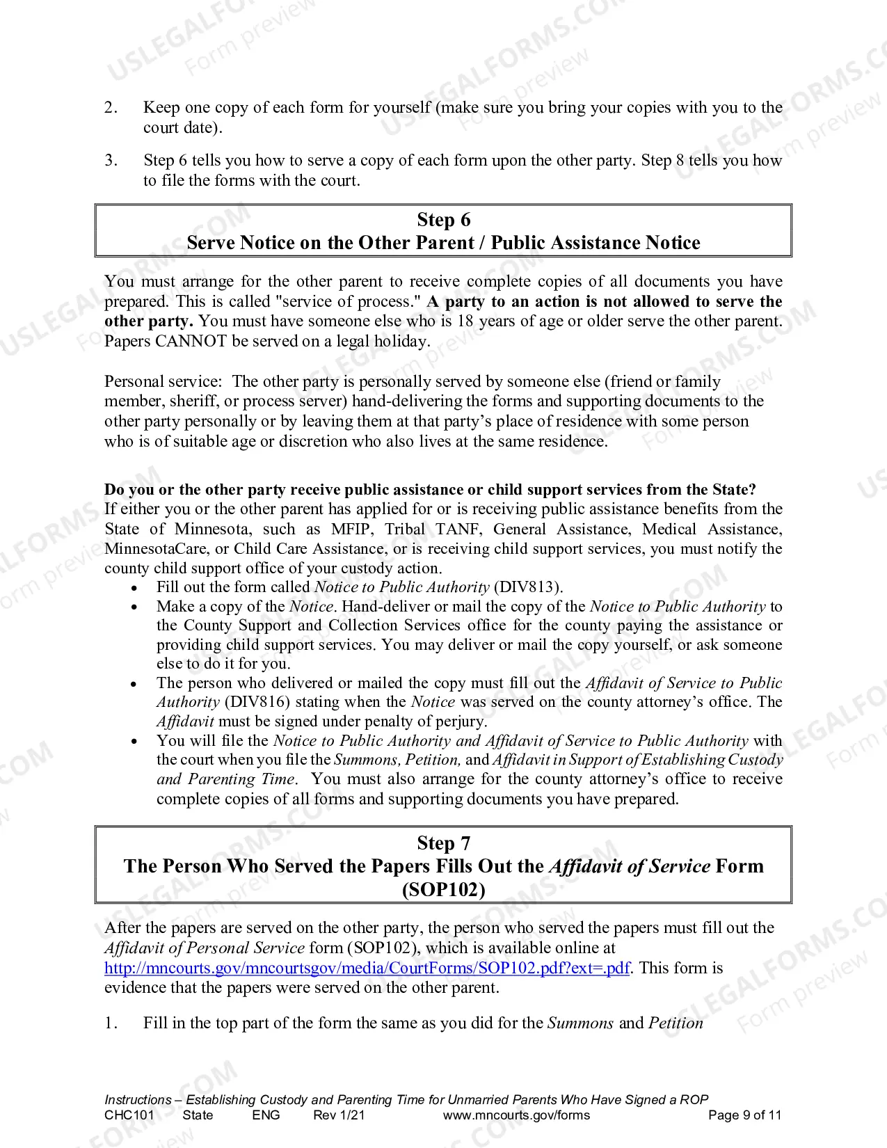Preview Instructions - Request to Establish Child Custody and Parenting Time
