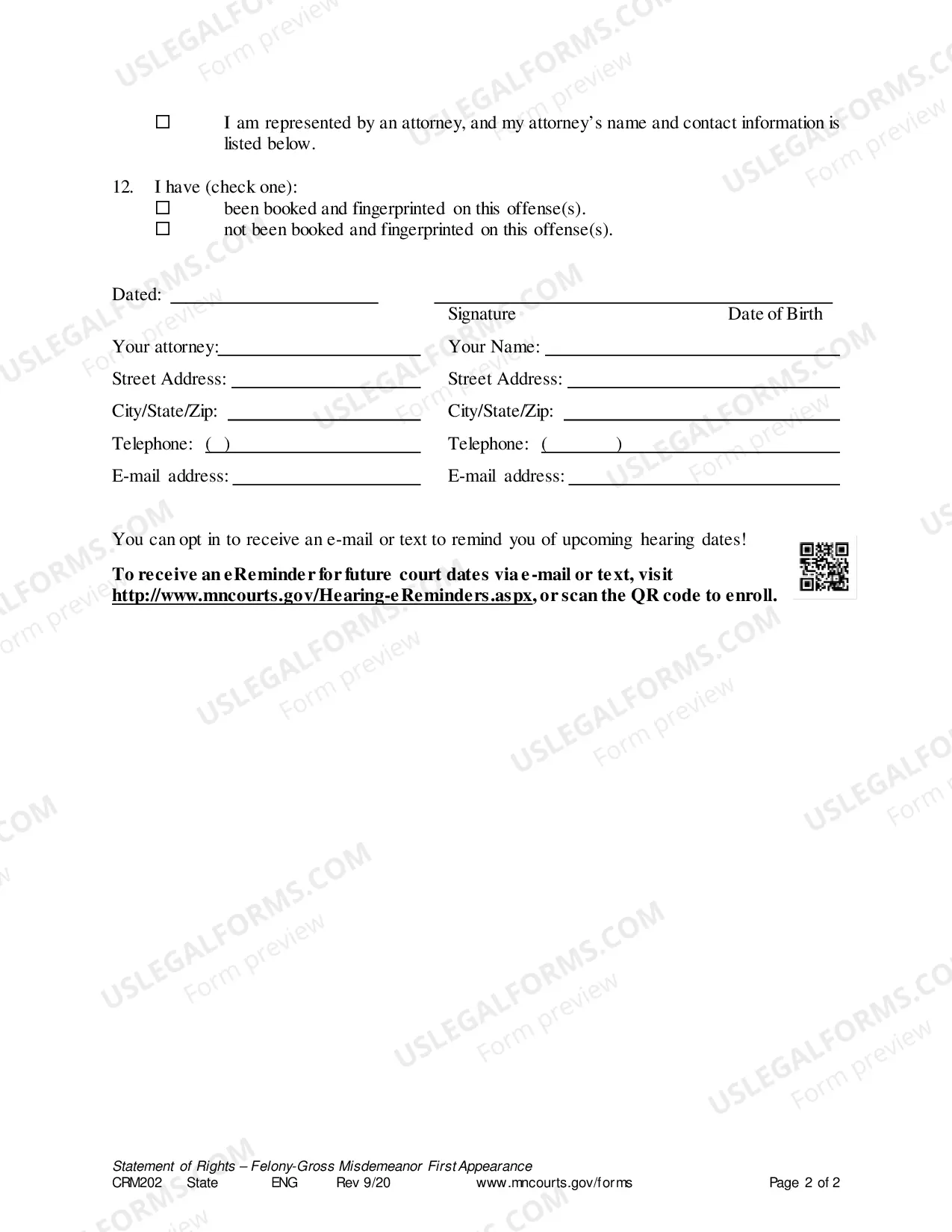 Preview Felony Gross Misdemeanor - First Appearance Statement of Rights