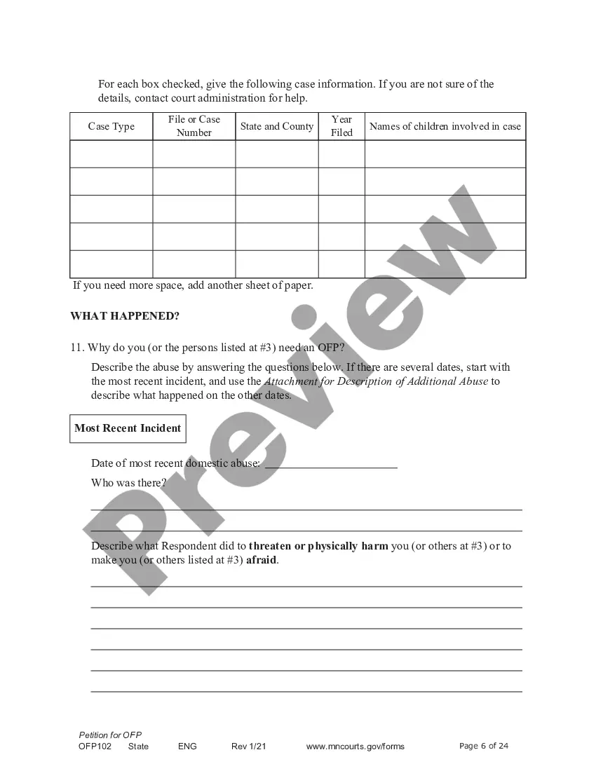 Preview Petitioner - Affidavit and Petition for Order for Protection