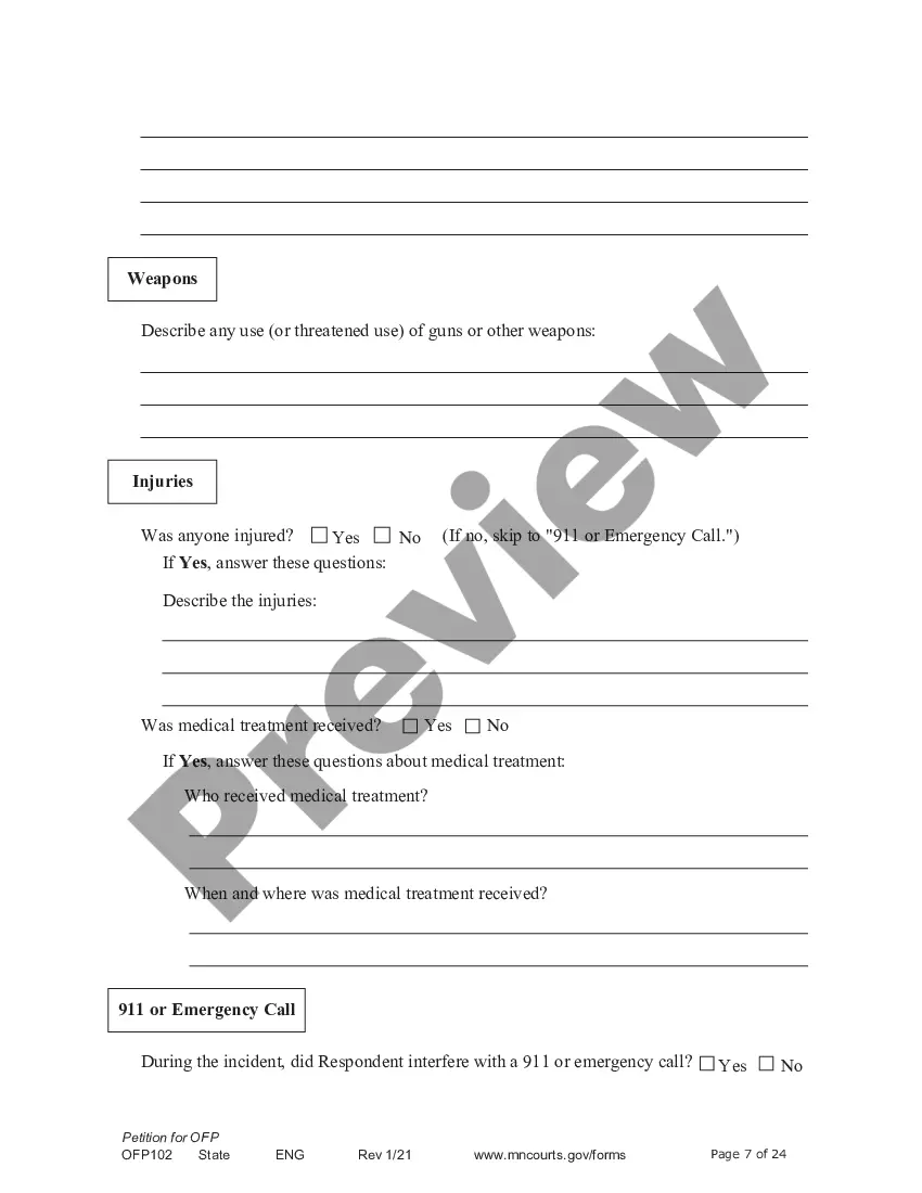 Preview Petitioner - Affidavit and Petition for Order for Protection