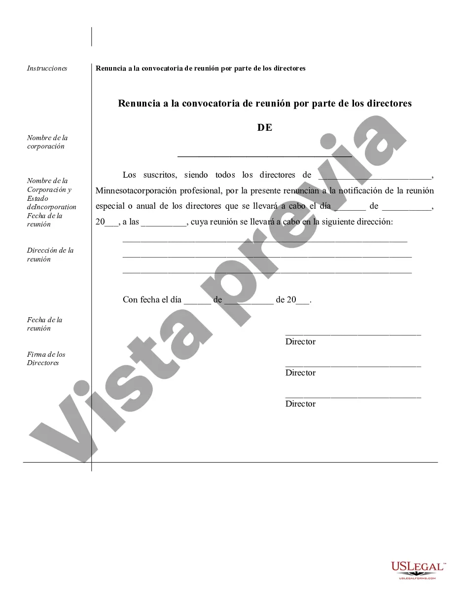 Preview Minutos anuales para una corporación profesional de Minnesota