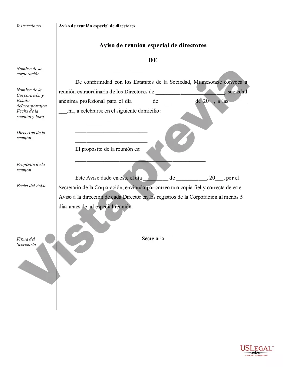 Preview Minutos anuales para una corporación profesional de Minnesota