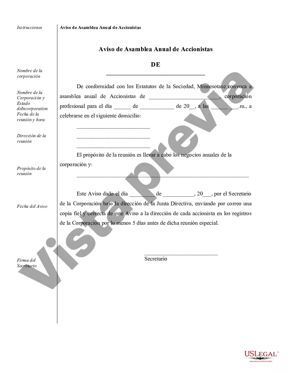 Preview Minutos anuales para una corporación profesional de Minnesota