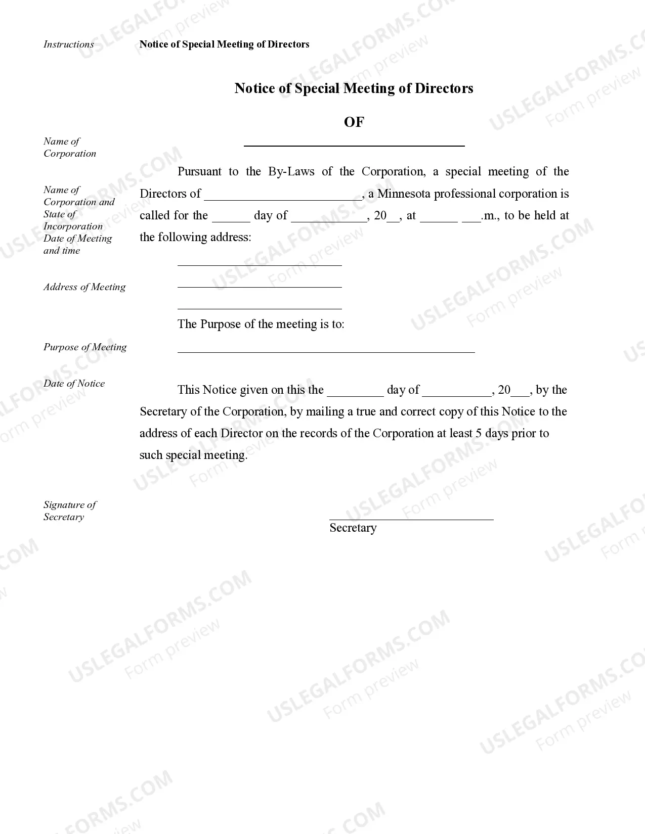 Preview Annual Minutes for a Minnesota Professional Corporation