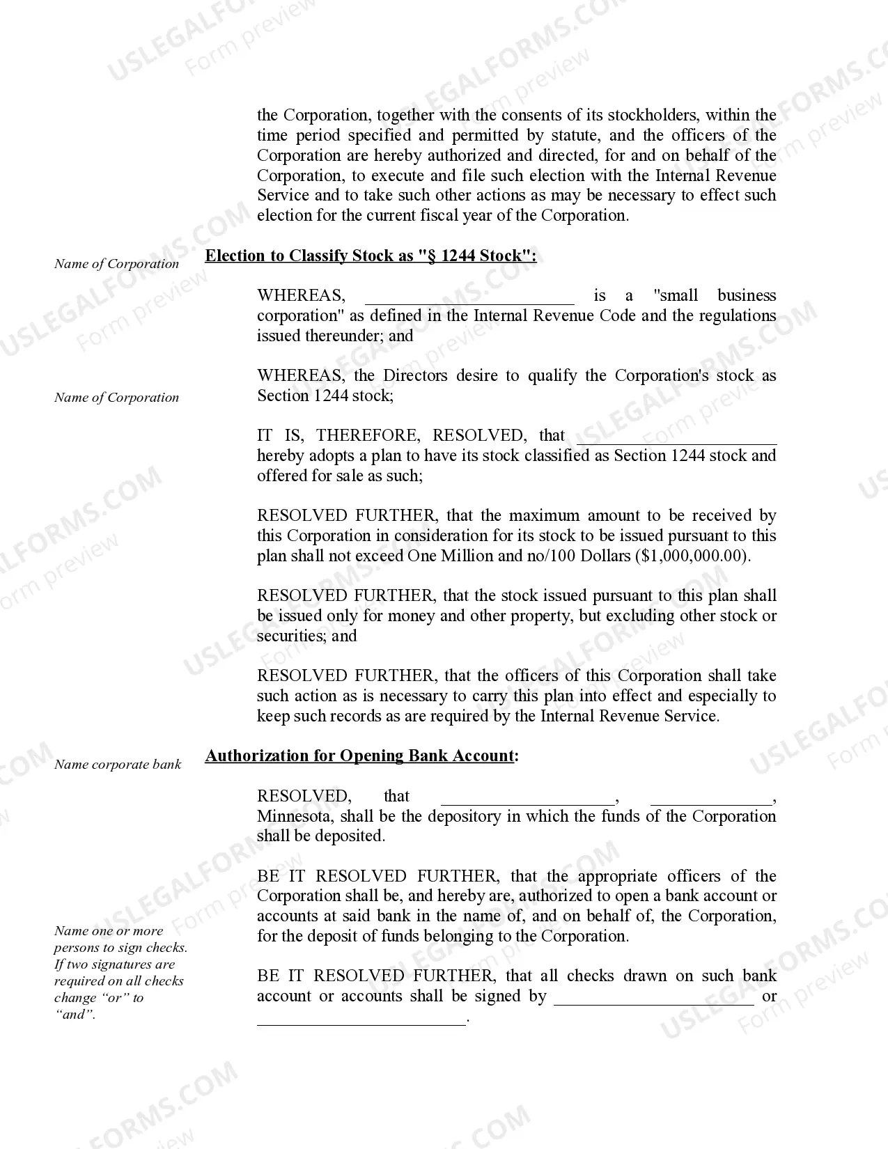 Preview Organizational Minutes for a Minnesota Professional Corporation