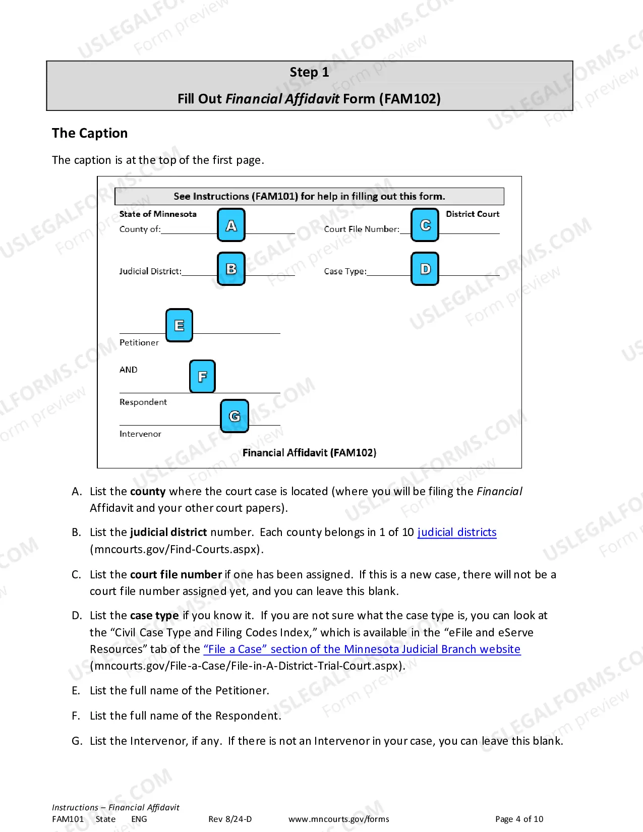 Preview Instructions for Financial Affidavit