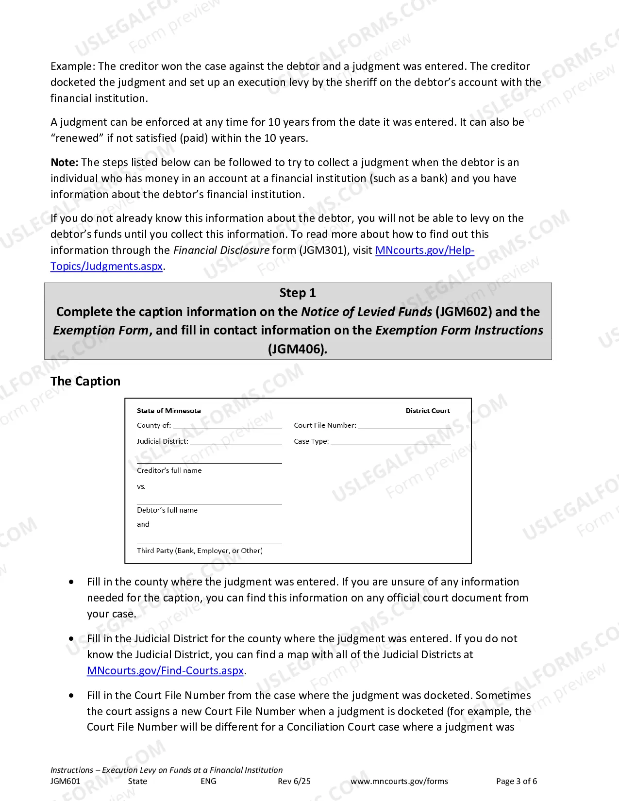 Preview Instructions - Execution Levy on Funds at a Financial Institution