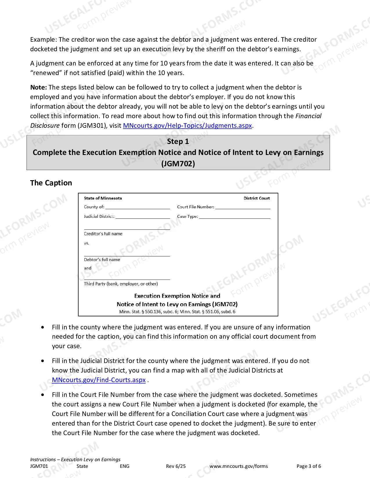 Preview Instructions - Execution Levy on Earnings