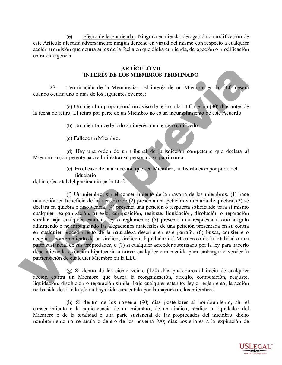 Preview Acuerdo Operativo de Sociedad de Responsabilidad Limitada LLC