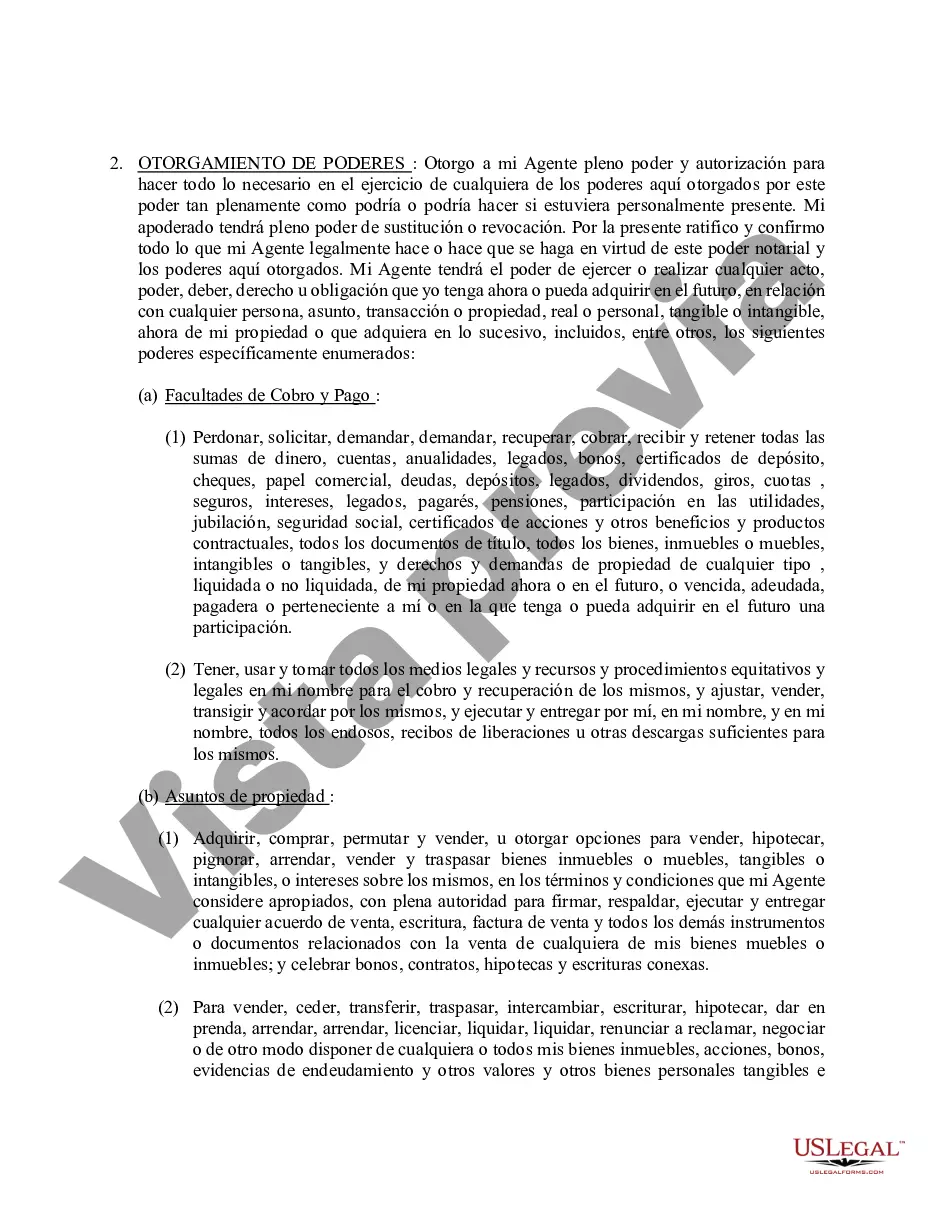 Preview Poder general duradero para la propiedad y las finanzas o efectivo financiero en caso de incapacidad