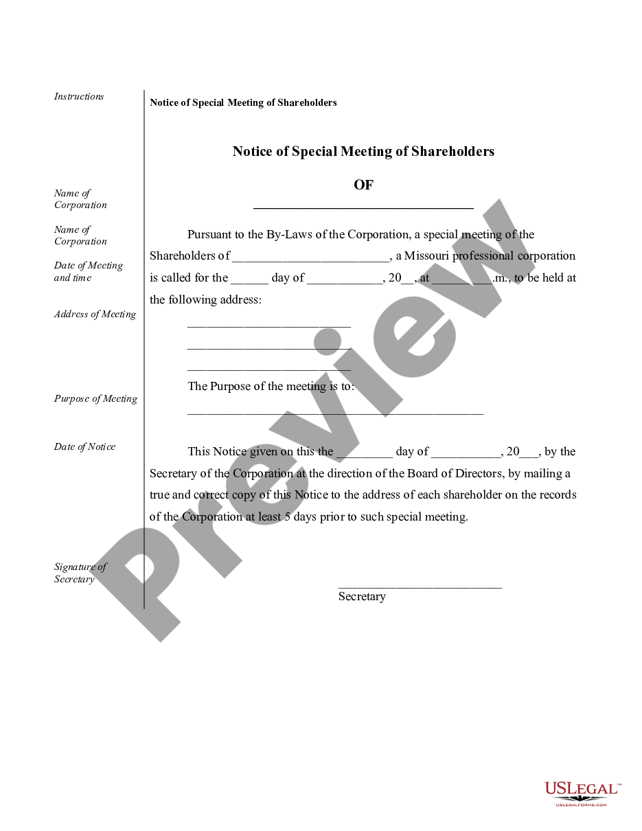 page 4 Sample Corporate Records for a Missouri Professional Corporation preview