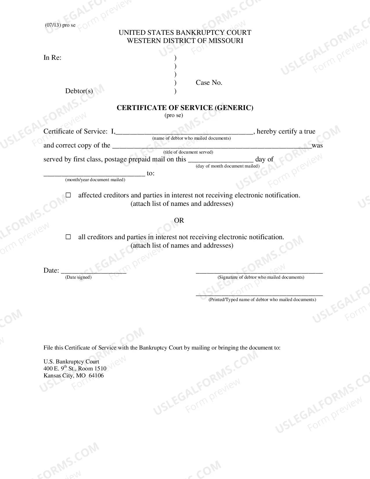 Preview Objection, Response or Motion (Generic) - Pro Se