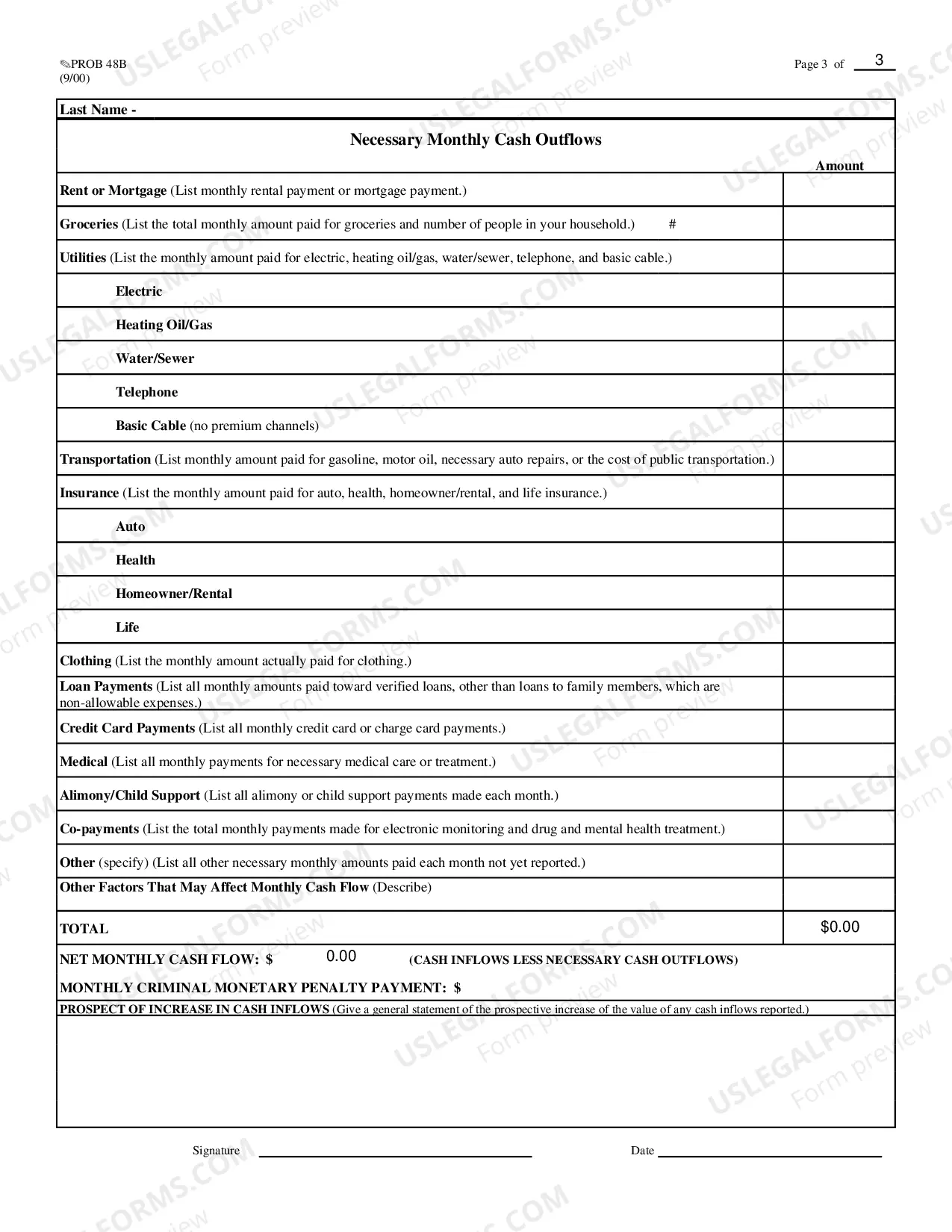 Preview Instructions for Completing Monthly Cash Flow Statement