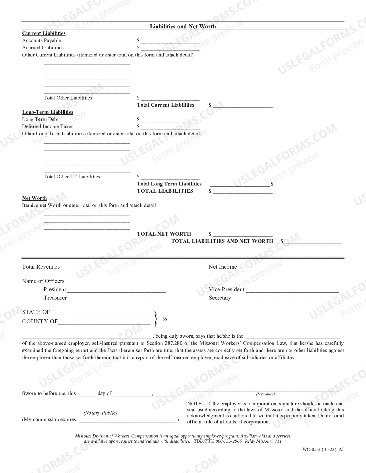 Preview Self Insurers Annual Financial Statement