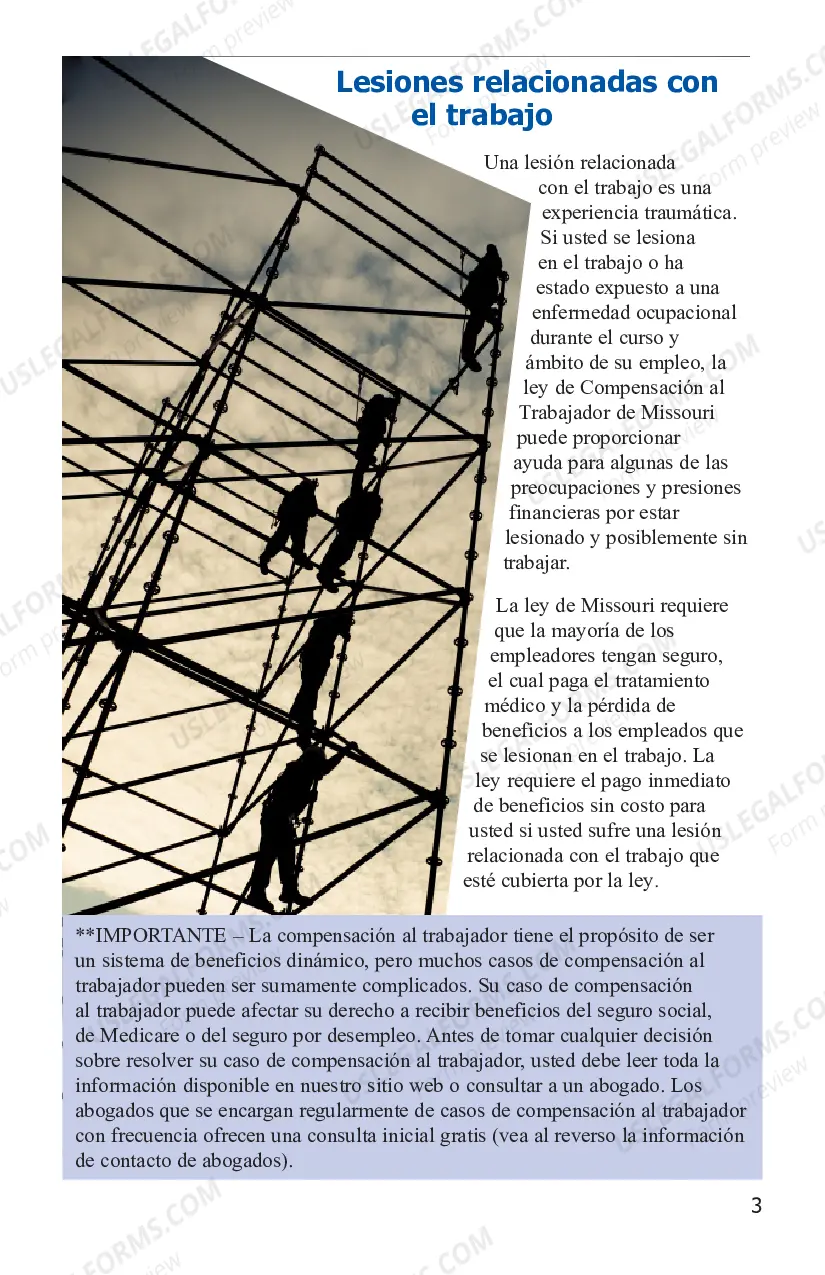 Preview Datos para Trabajadores Lesionados