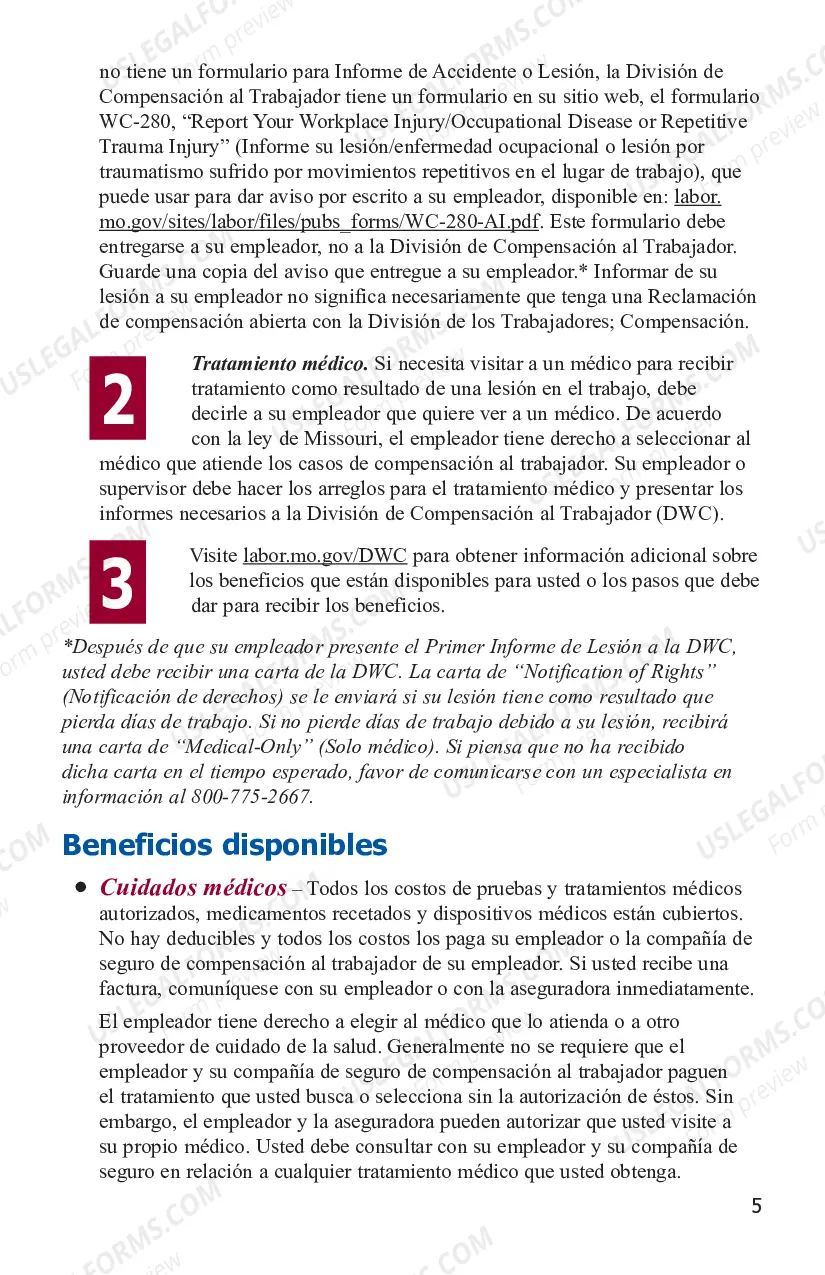Preview Datos para Trabajadores Lesionados