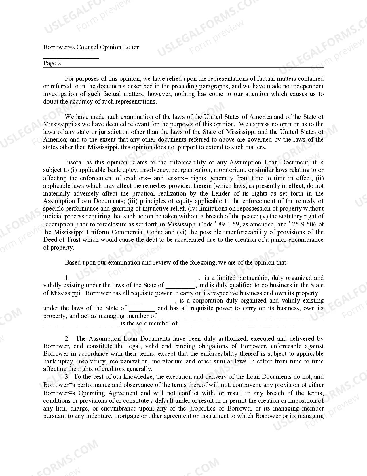 Preview Borrowers Counsel Opinion Letter