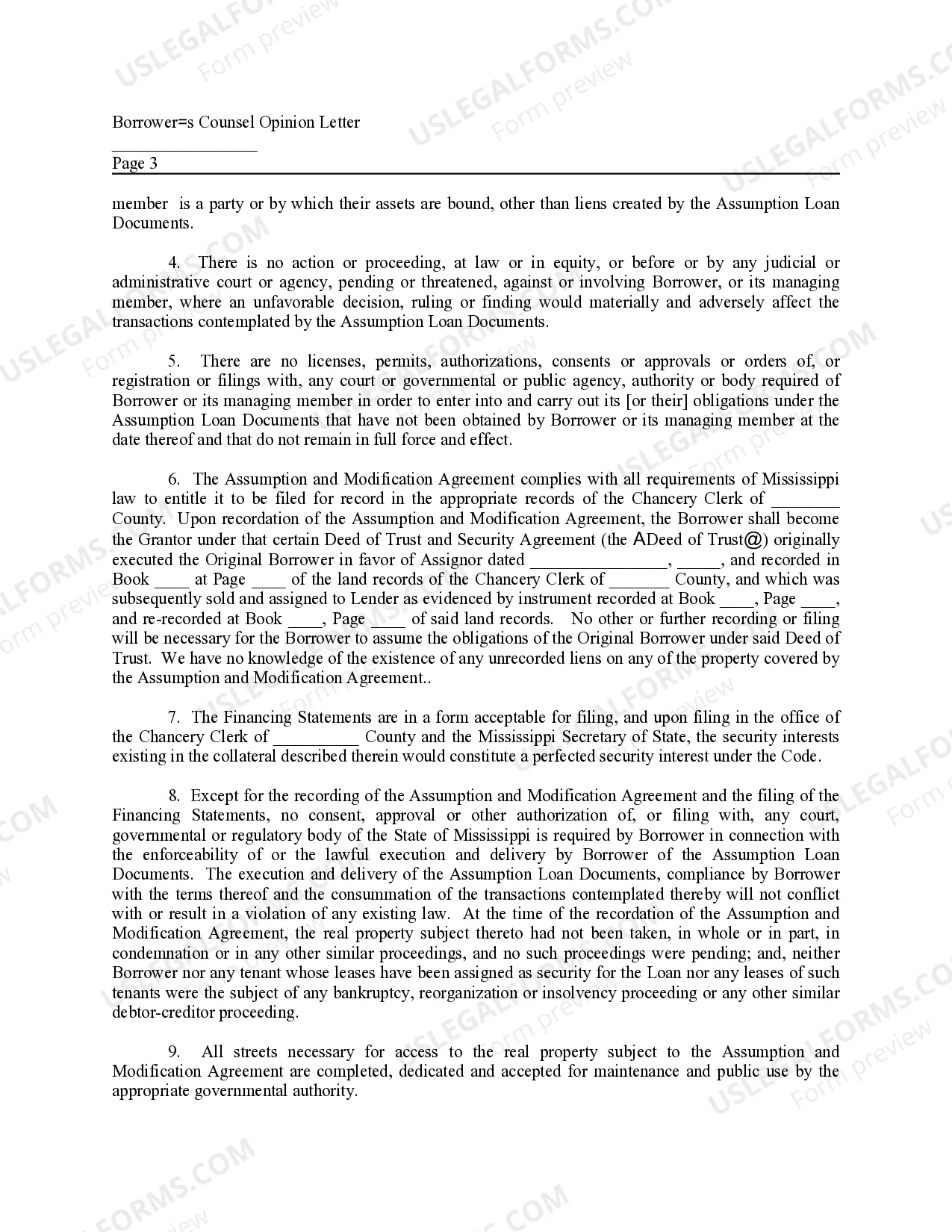Preview Borrowers Counsel Opinion Letter