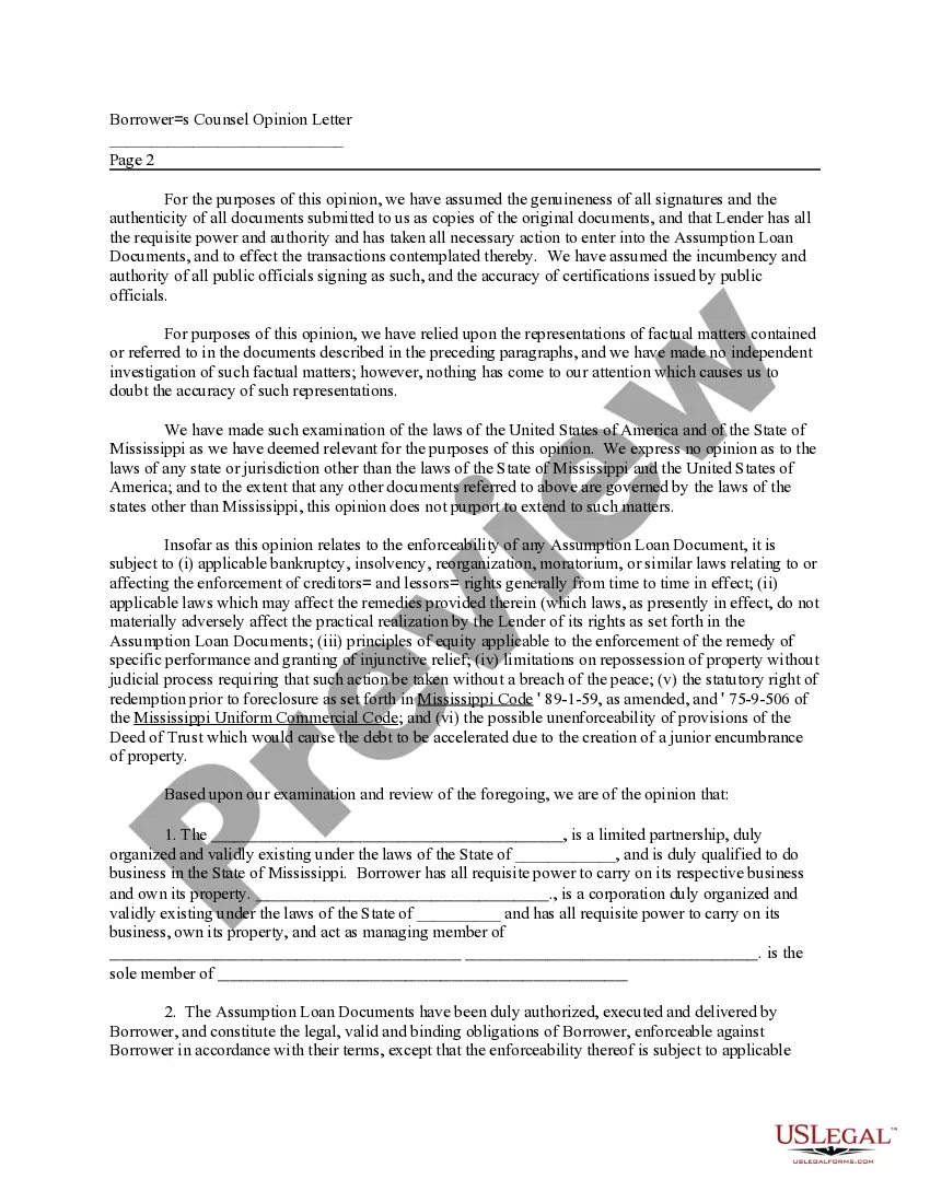 Preview Sample Borrowers Counsel Legal Opinion Letter regarding assumption of loan