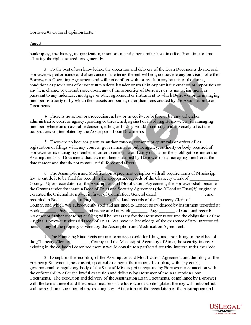 Preview Sample Borrowers Counsel Legal Opinion Letter regarding assumption of loan