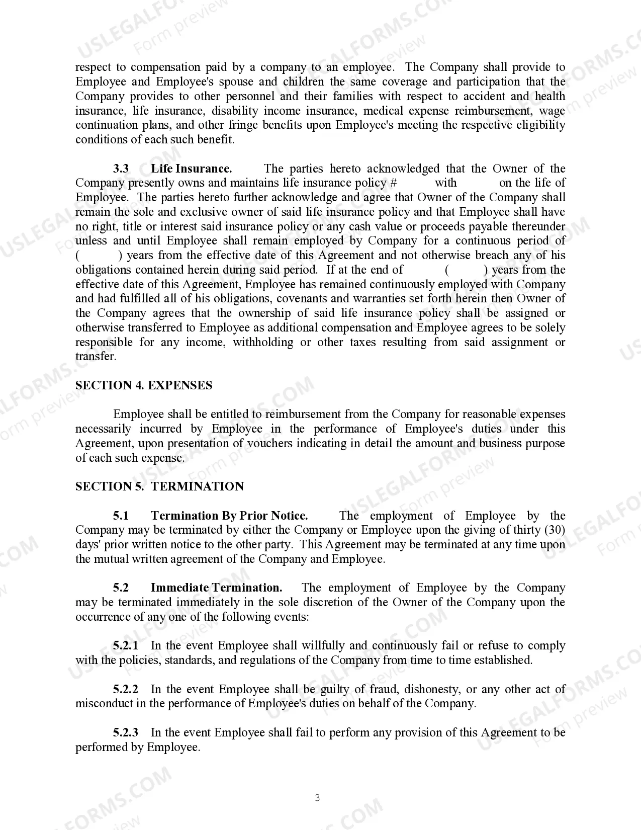 Preview Employment Agreement between sole proprietorship and an employee
