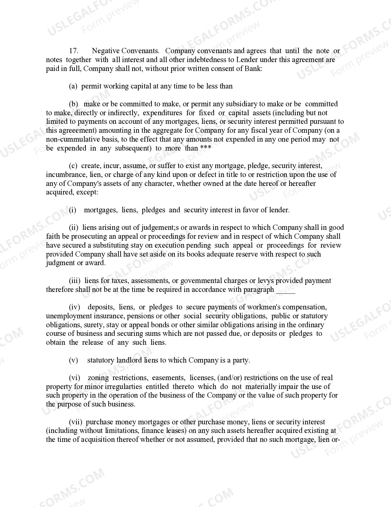 Preview Loan Agreement