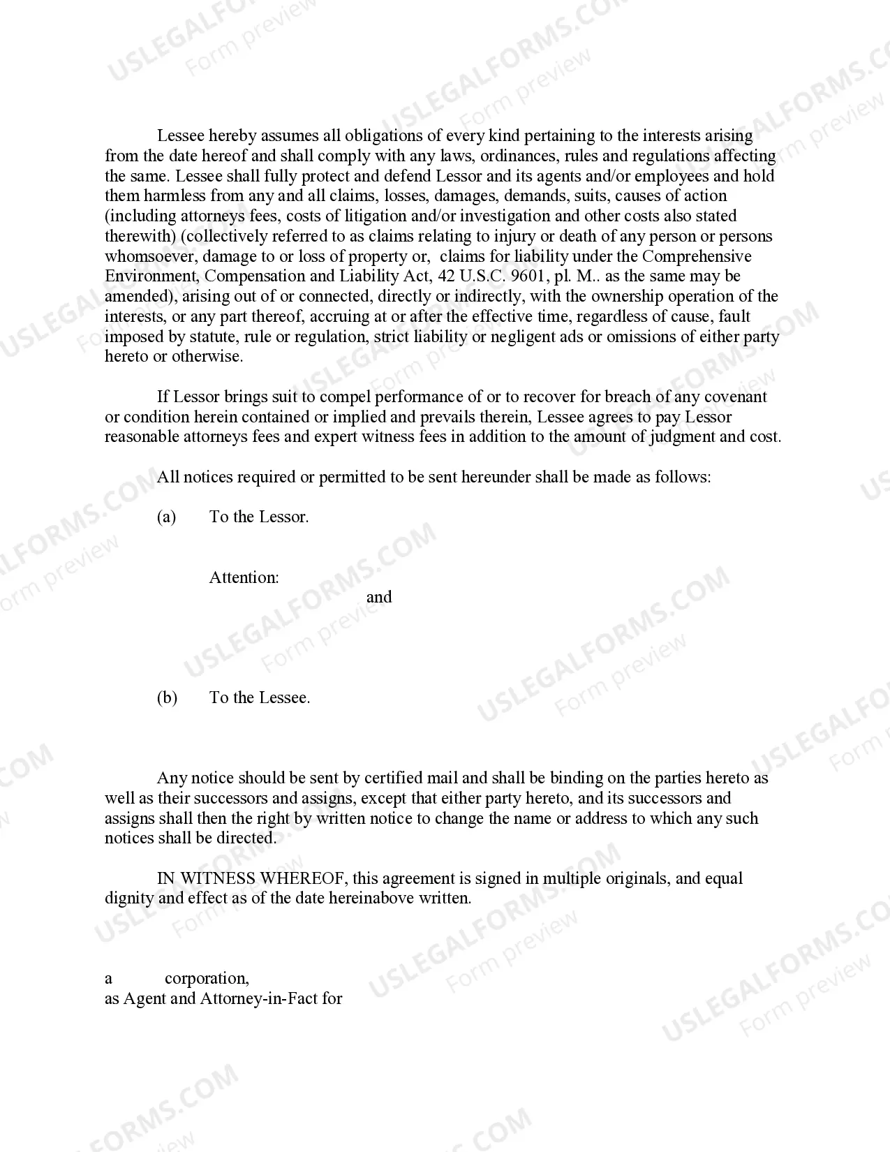 Preview Oil, Gas and Mineral Lease