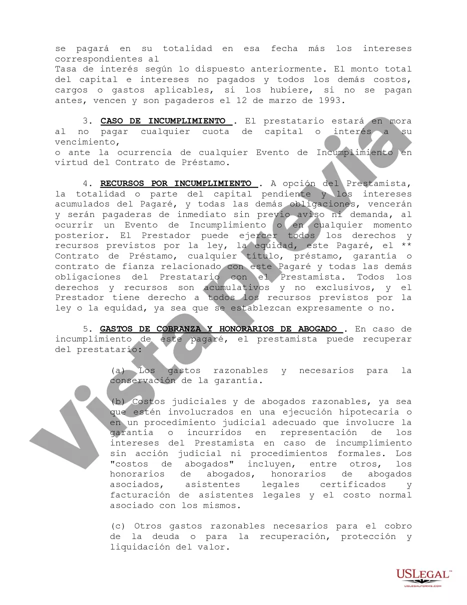 Preview Pagaré Maestro Revolvente