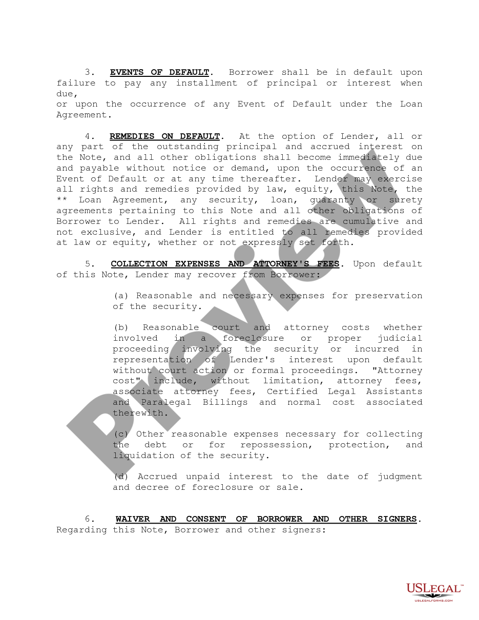 page 1 Master Revolving Promissory Note preview