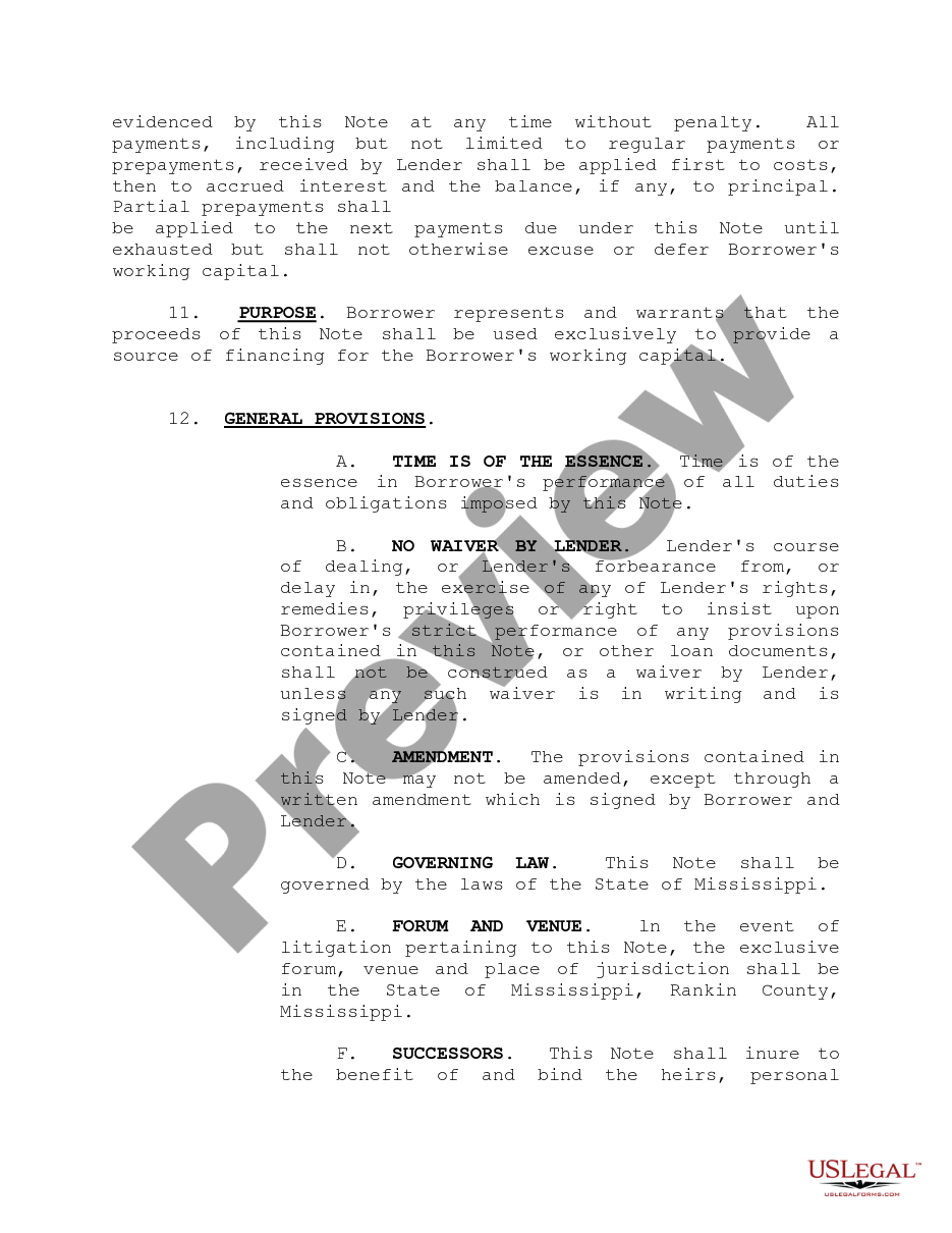 page 3 Master Revolving Promissory Note preview