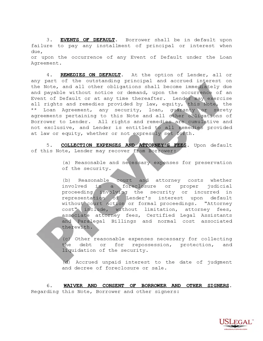 Preview Master Revolving Promissory Note