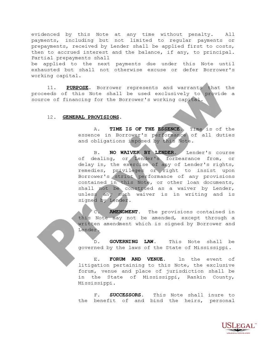 Preview Master Revolving Promissory Note