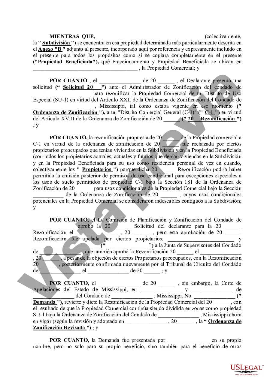 Preview Declaración de Restricciones