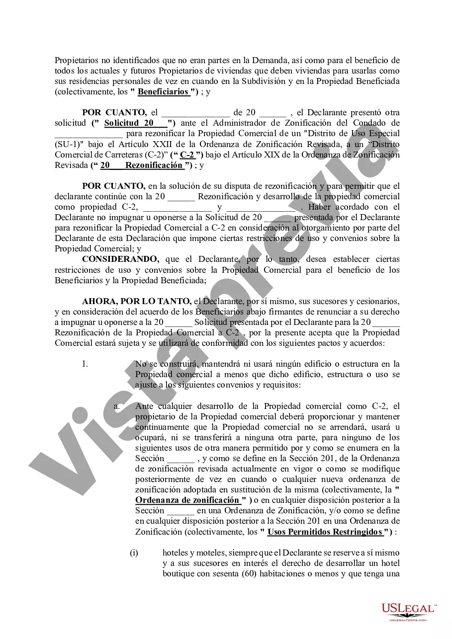 Preview Declaración de Restricciones