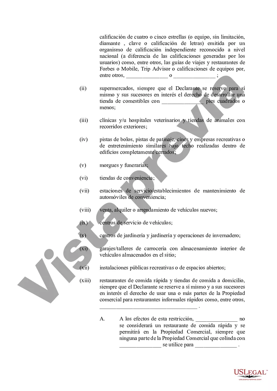 Preview Declaración de Restricciones