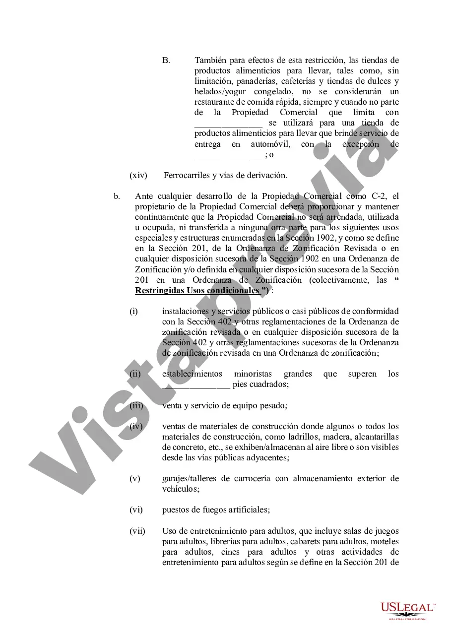 Preview Declaración de Restricciones