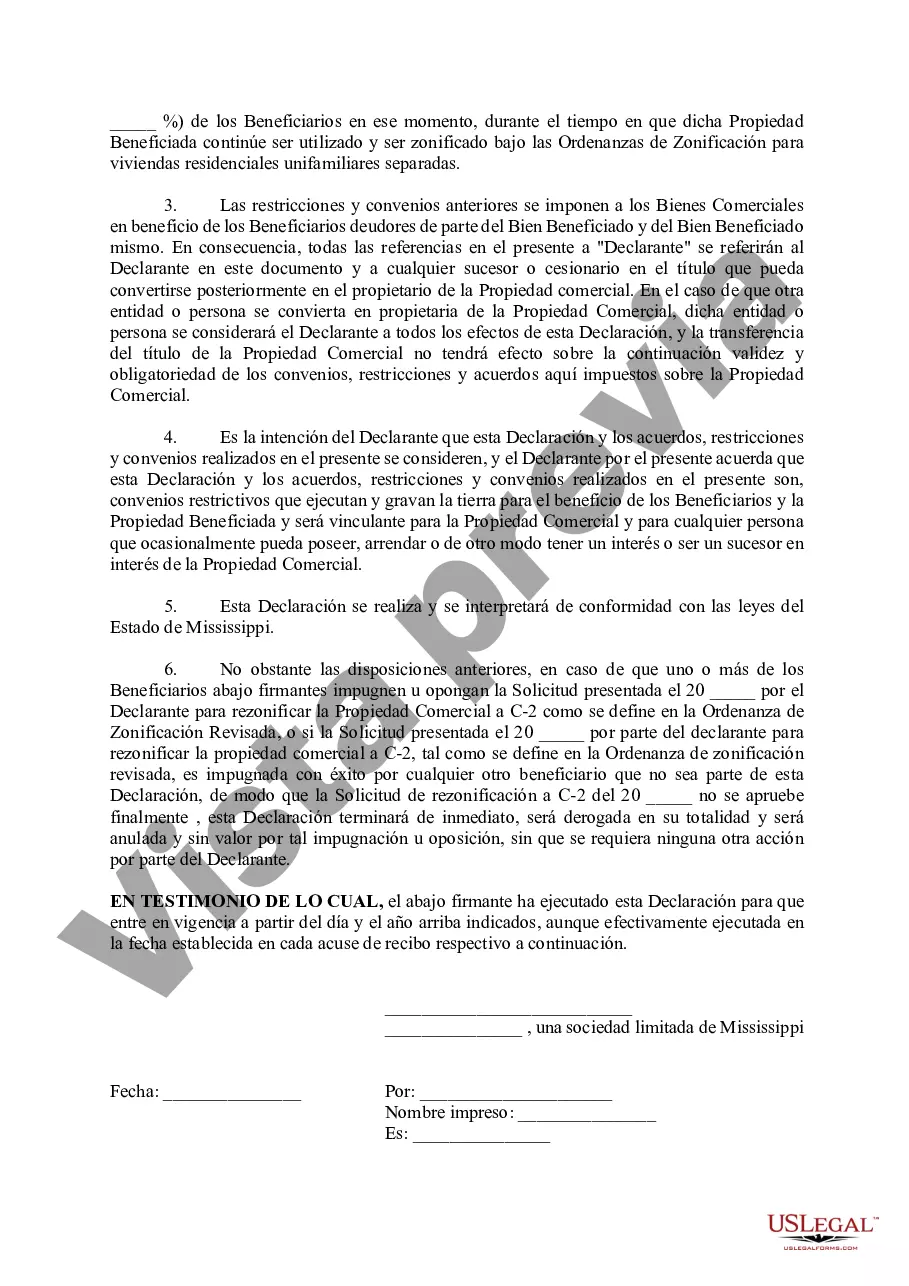 Preview Declaración de Restricciones