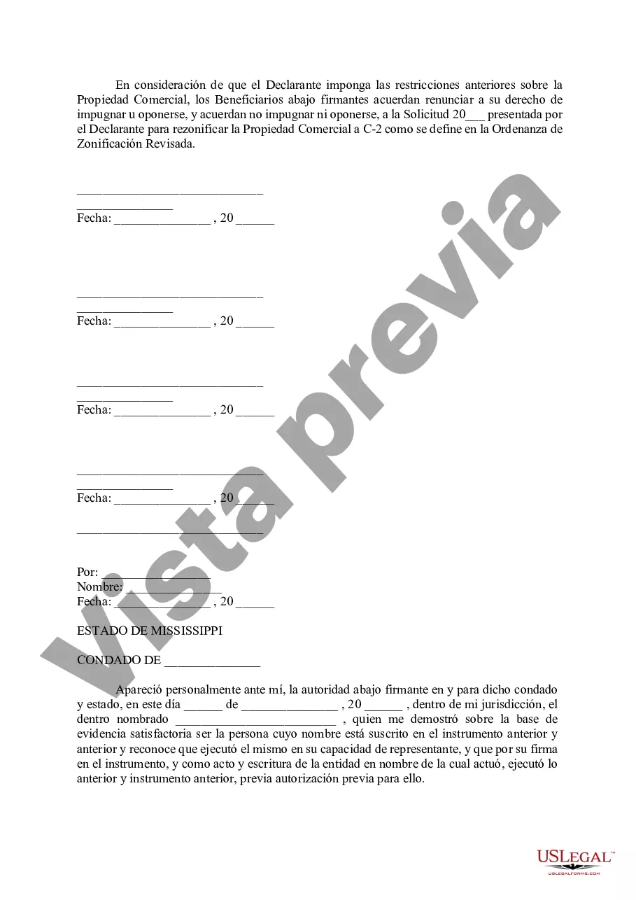 Preview Declaración de Restricciones