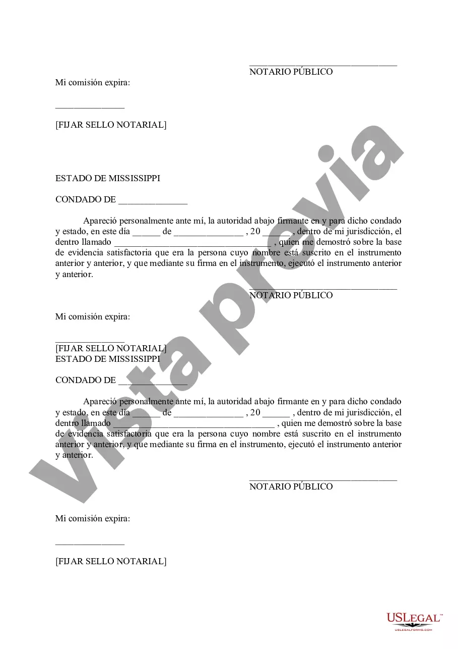 Preview Declaración de Restricciones