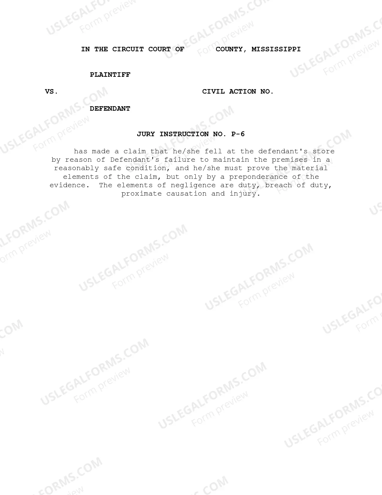 Preview Jury Instructions