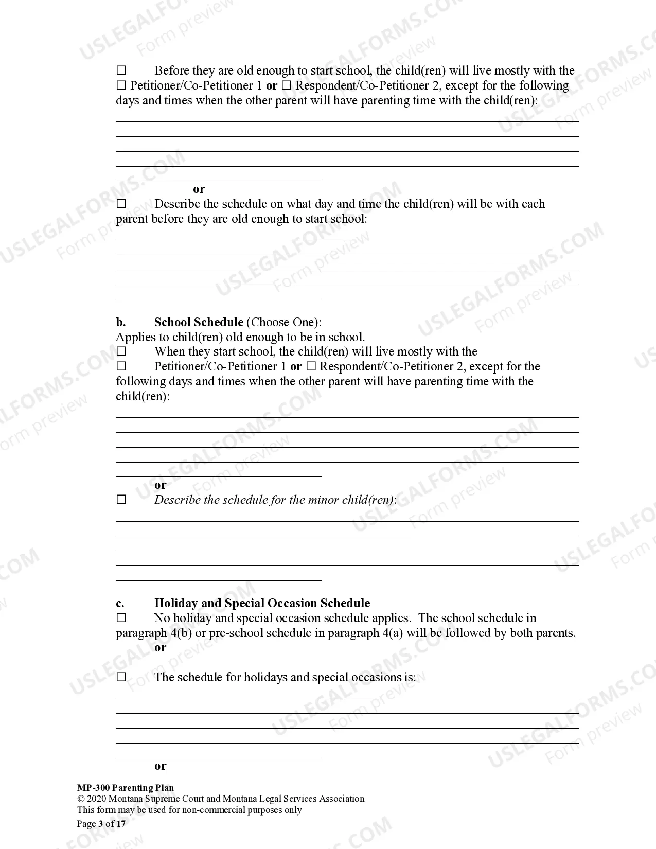 Preview Parenting Plan