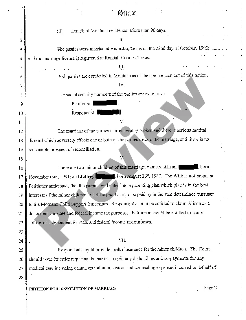 Preview A01 Petition for Dissolution of Marriage with Two Minor Children
