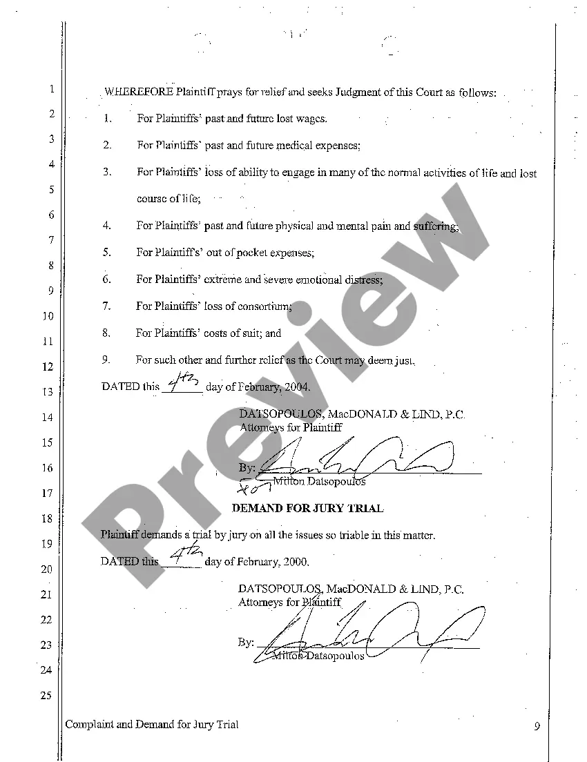 Preview A01 Complaint for Personal Injury Sustained to Invitee Who was Hit in Eye by Firework