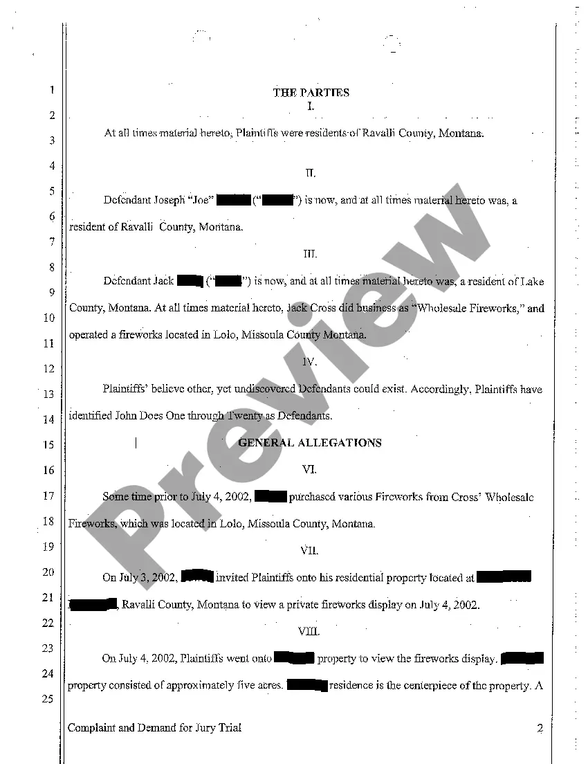 Preview A01 Complaint for Personal Injury Sustained to Invitee Who was Hit in Eye by Firework