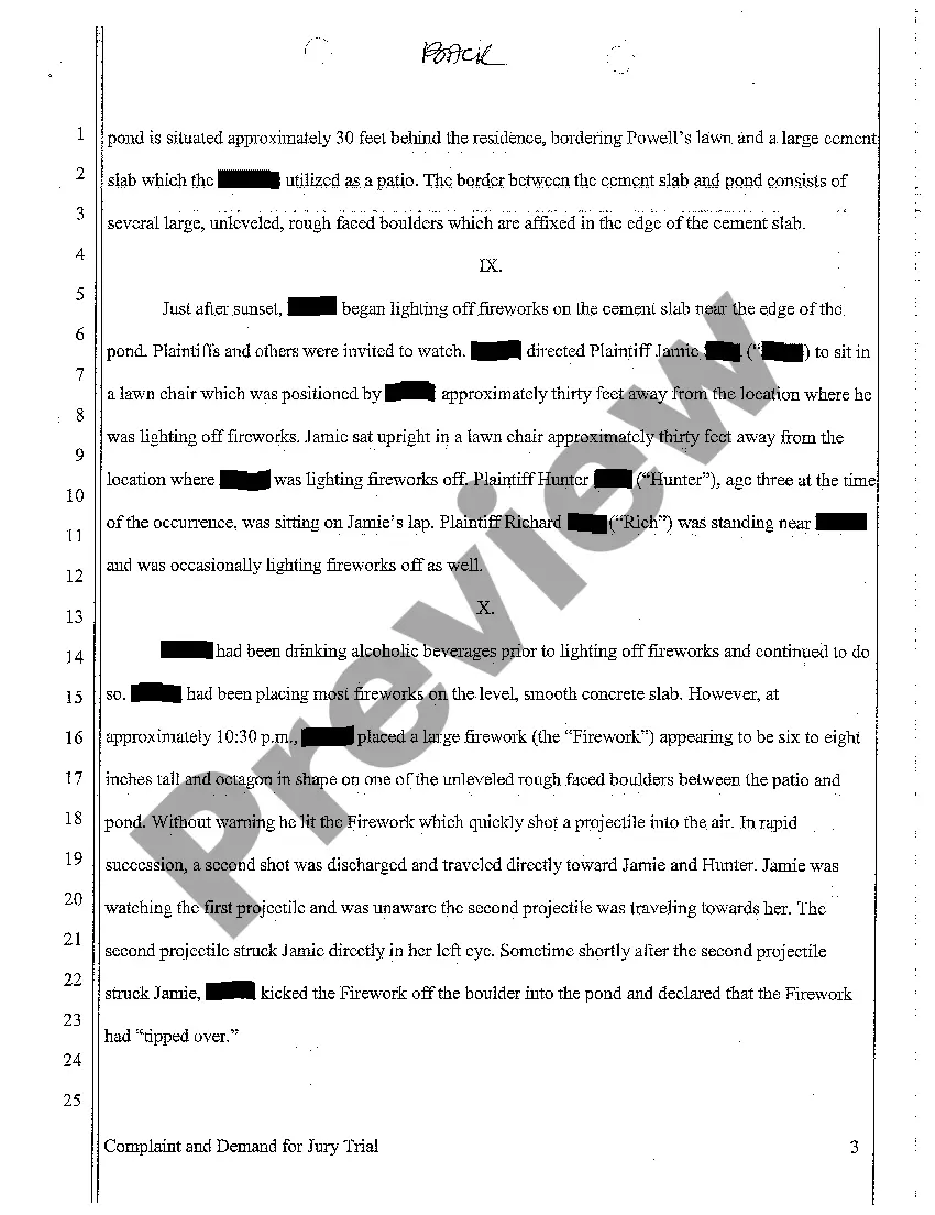 Preview A01 Complaint for Personal Injury Sustained to Invitee Who was Hit in Eye by Firework