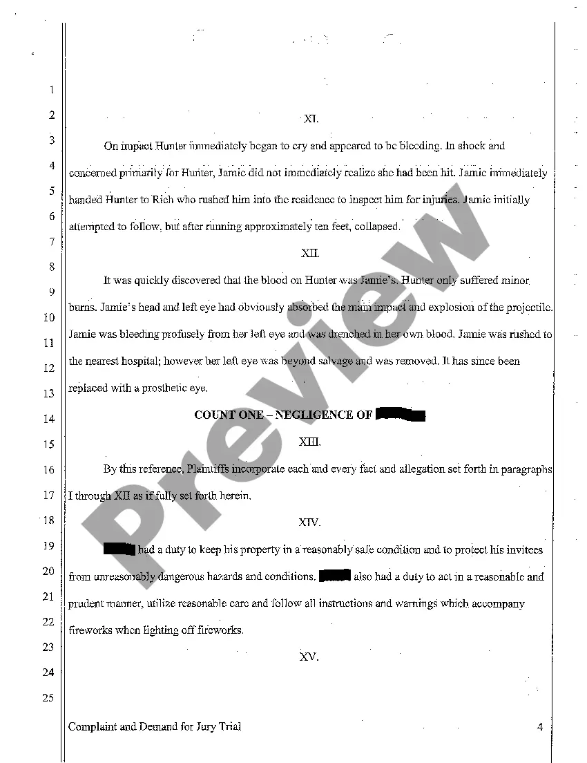 Preview A01 Complaint for Personal Injury Sustained to Invitee Who was Hit in Eye by Firework